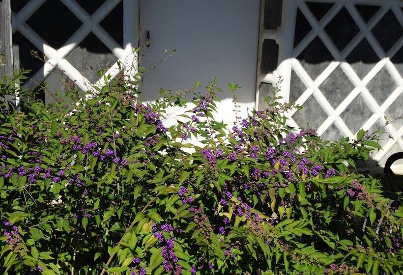 ריוקאן Aunsanbo