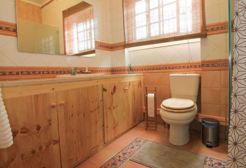 Mr Ziggy S Surfhouse Hostel