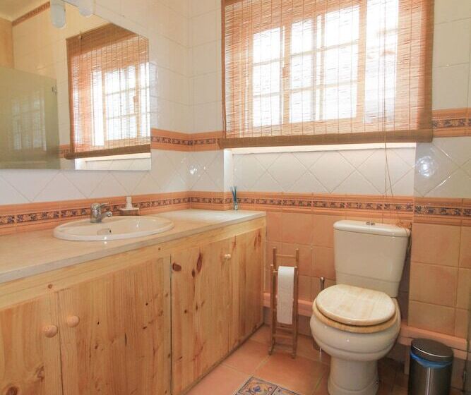 Mr Ziggy S Surfhouse Hostel