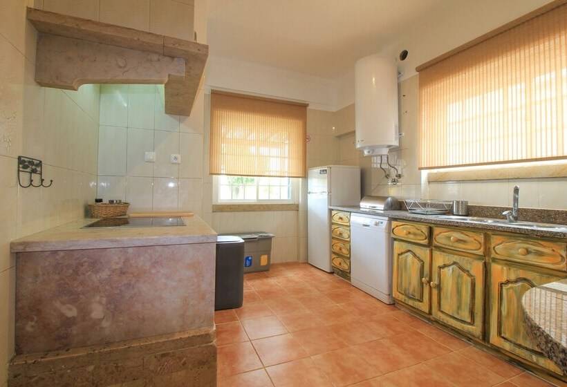 Mr Ziggy S Surfhouse Hostel