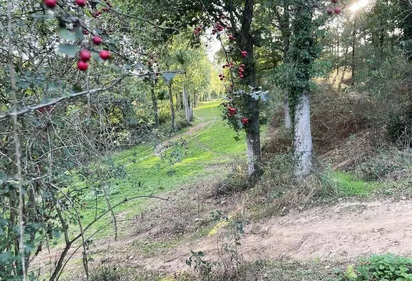 Aamiaismajoitus (B&B) La Petite Felixiere