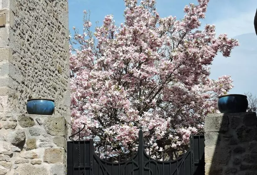 ベッドアンドブレックファースト Le Petit Volcan