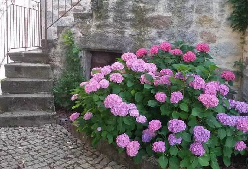 ベッドアンドブレックファースト Le Petit Volcan