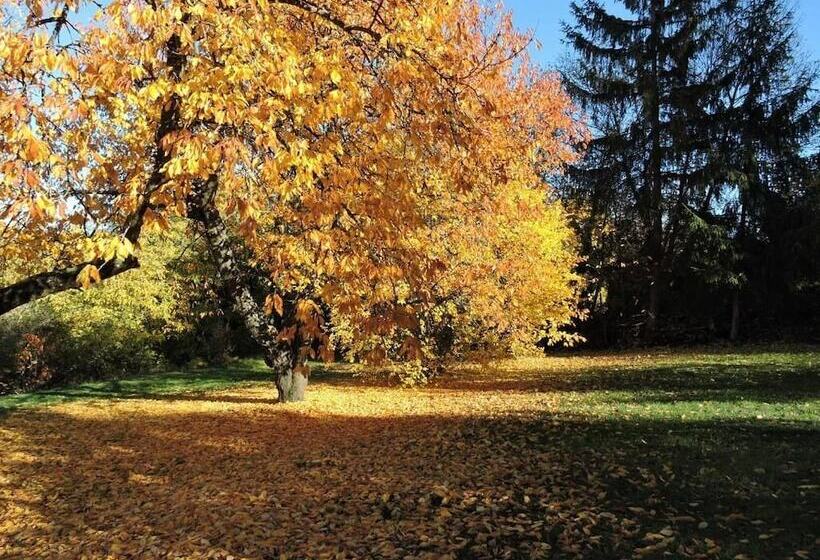 住宿加早餐 Le Petit Volcan