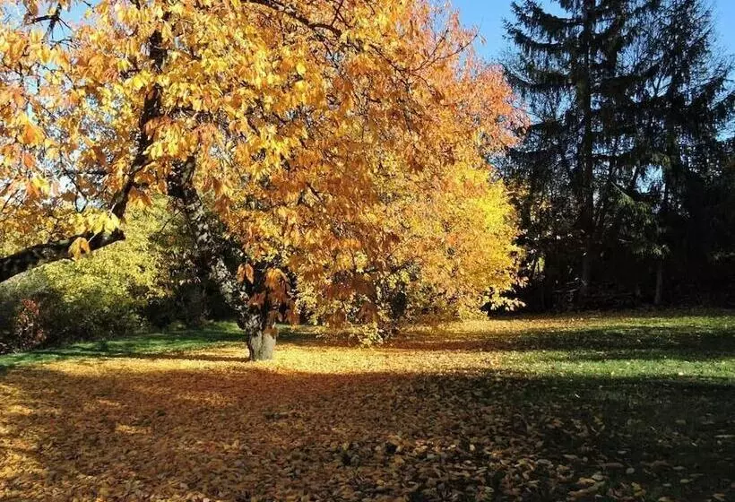 ベッドアンドブレックファースト Le Petit Volcan