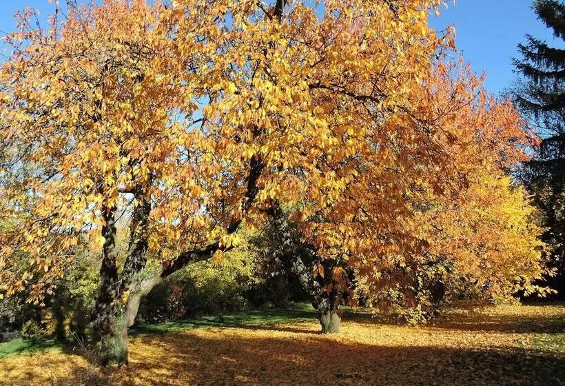 ベッドアンドブレックファースト Le Petit Volcan