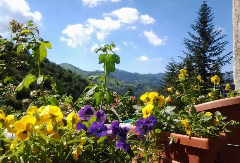 Aamiaismajoitus (B&B) Villatiffany