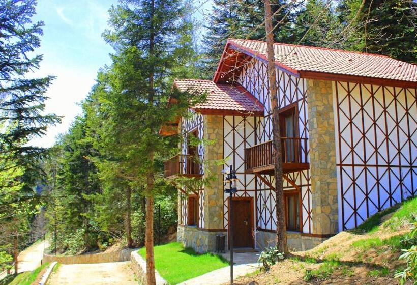 Foleya Mountain Resort Hotel & Villas