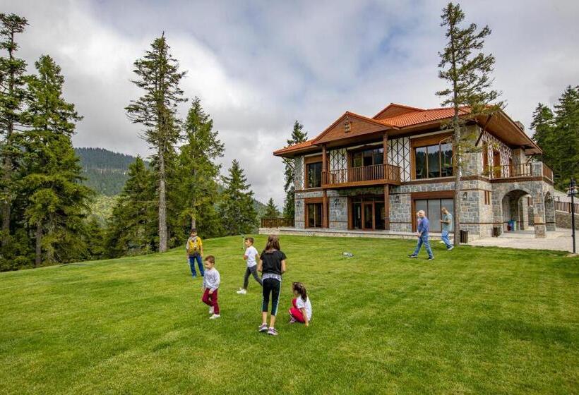 Foleya Mountain Resort Hotel & Villas