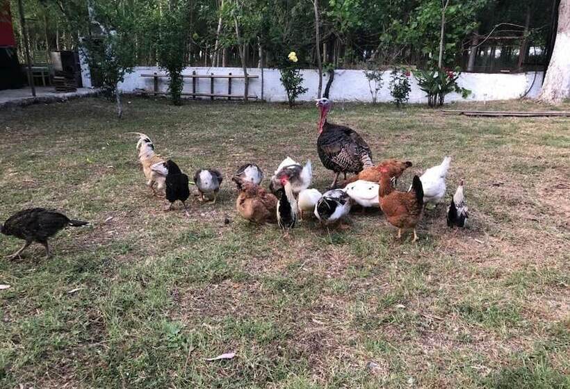 Отель Likya Saklibahce