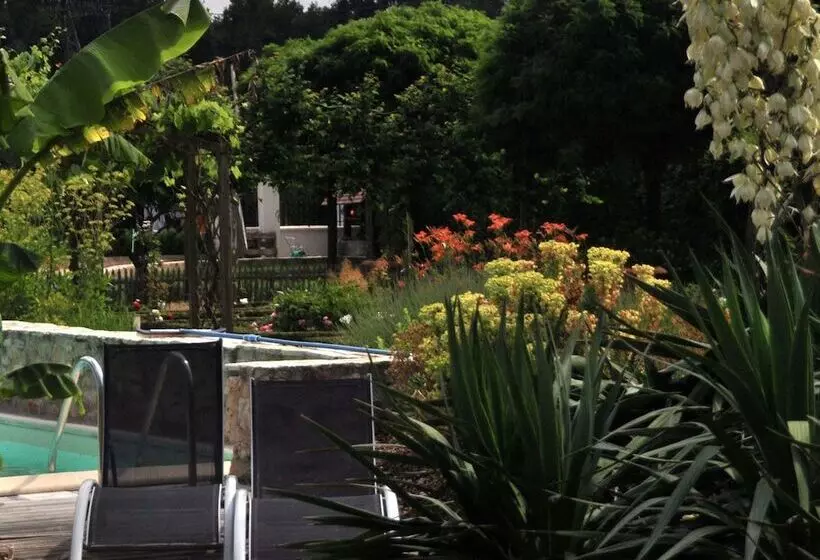 ホテル Restaurant & B&b La Maison Saint Martin