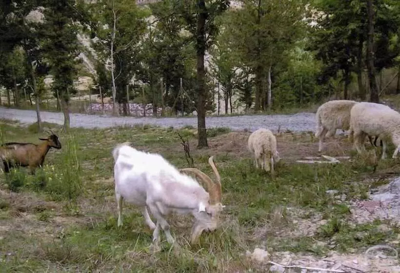 田舎風ホテル Agriturismo Cascina Aurora