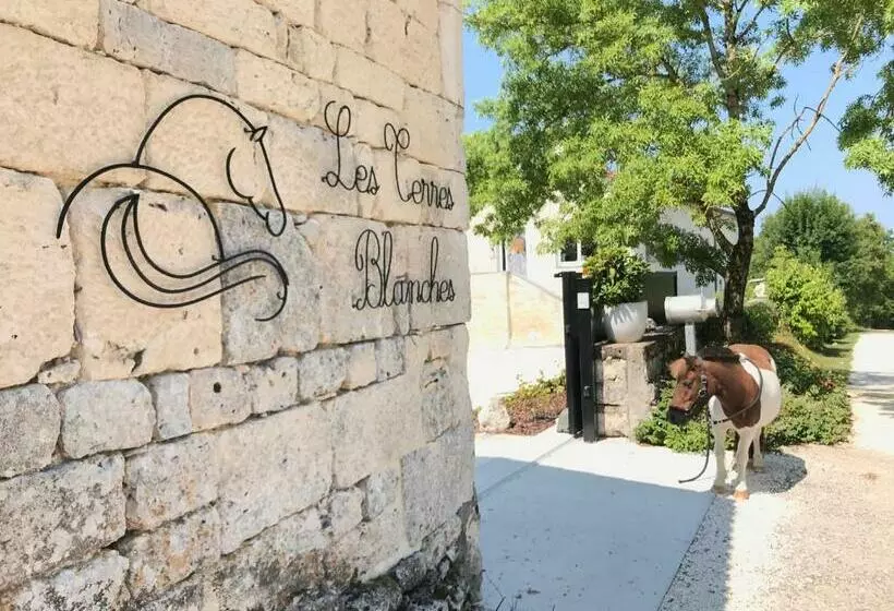 Le Domaine Des Terres Blanches