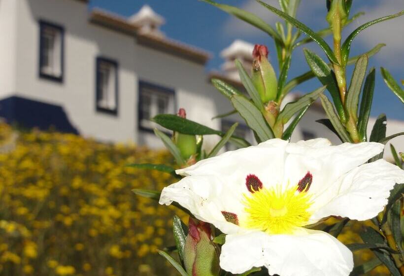 بنسيون Monte Do Alento Castro Da Cola