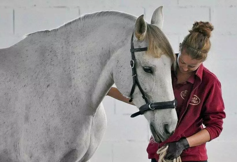 ペンション Monte Do Alento   Castro Da Cola