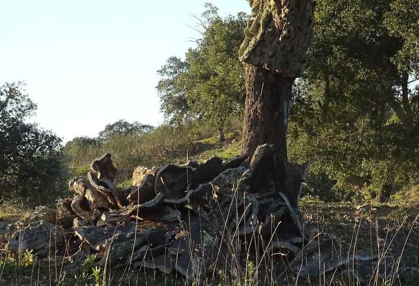 بنسيون Monte Do Alento Castro Da Cola
