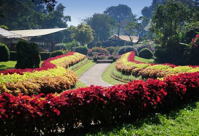 ペンション Niru Residence