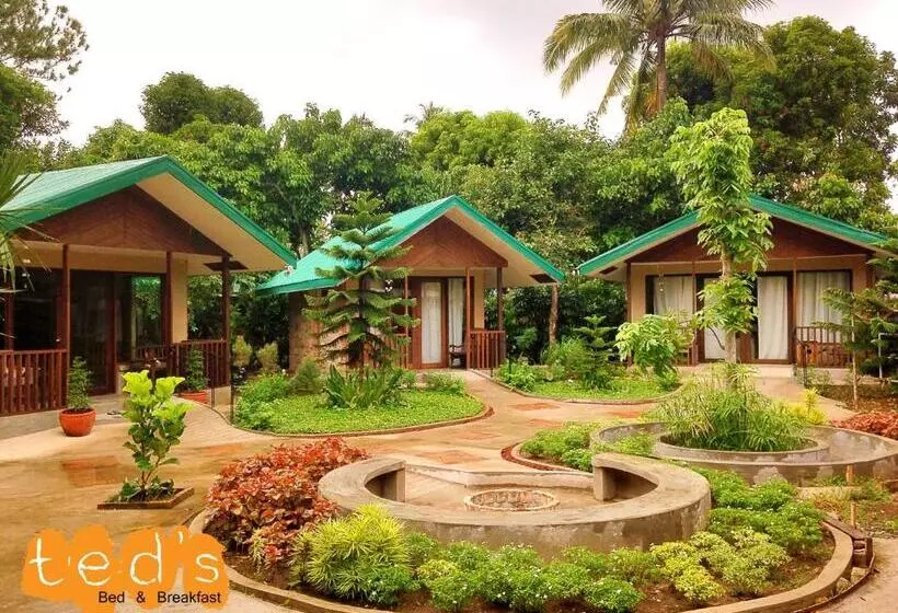 Ted S Bed And Breakfast