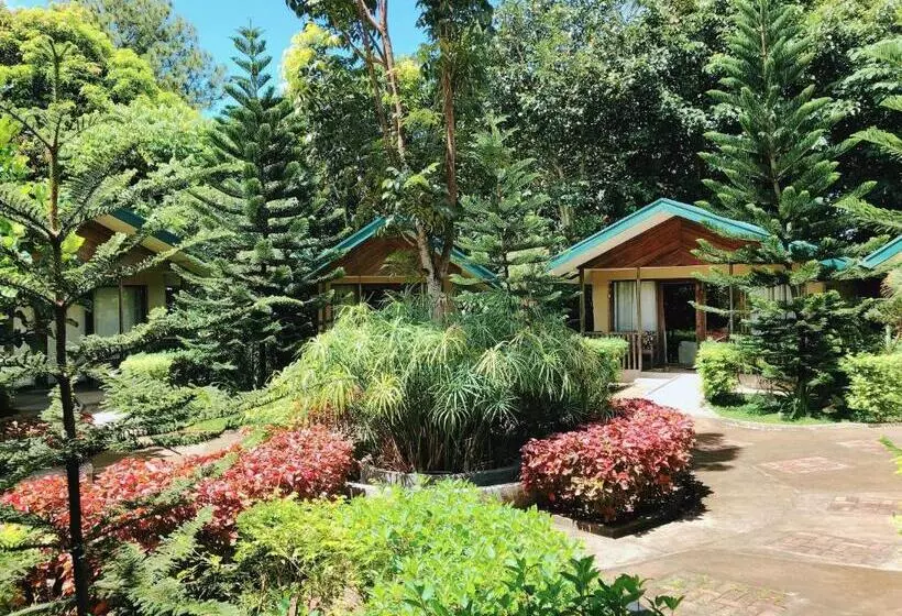 Ted S Bed And Breakfast