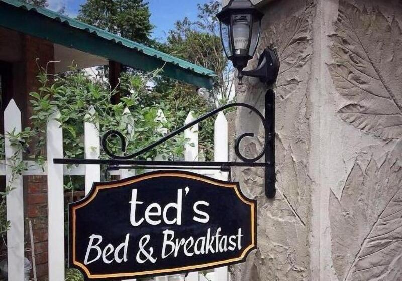 Ted S Bed And Breakfast