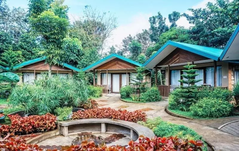 Ted S Bed And Breakfast