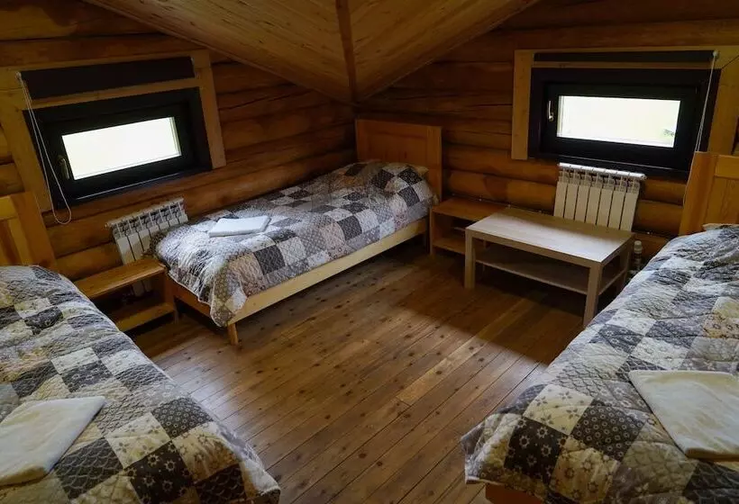 Eco Hotel Altair   Hostel