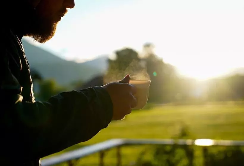 Eco Hotel Altair   Hostel