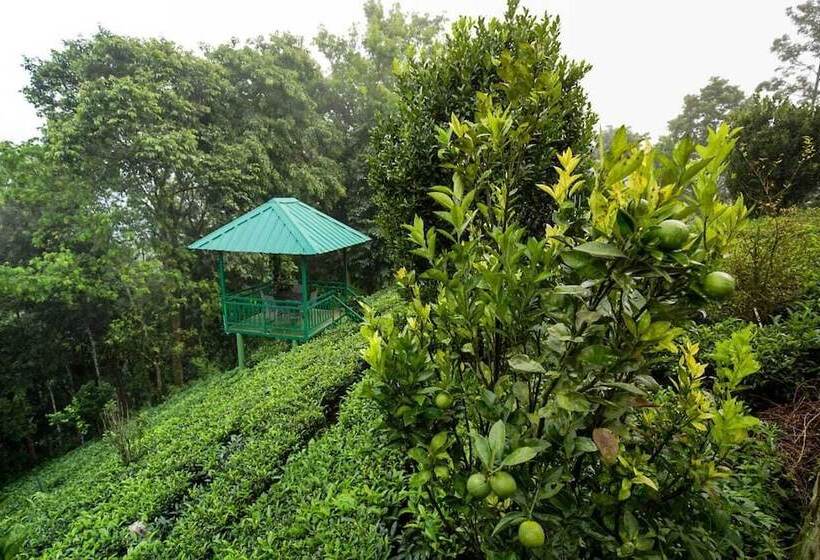 אתר נופש Camellia And Elettaria