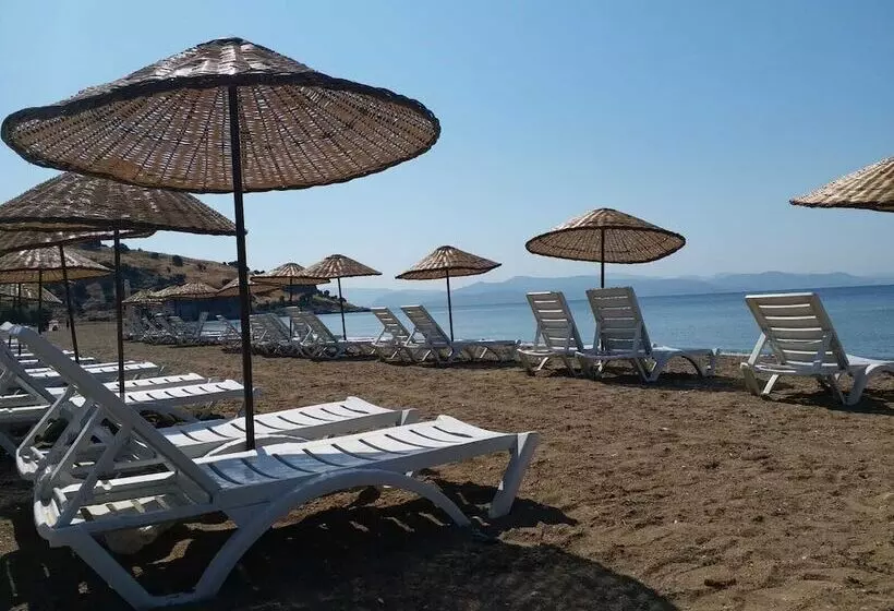 Lomakeskus Club Si̇deri̇s