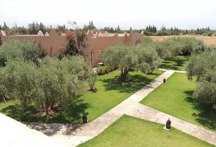 Hostelli Les Oliviers De L Atlas