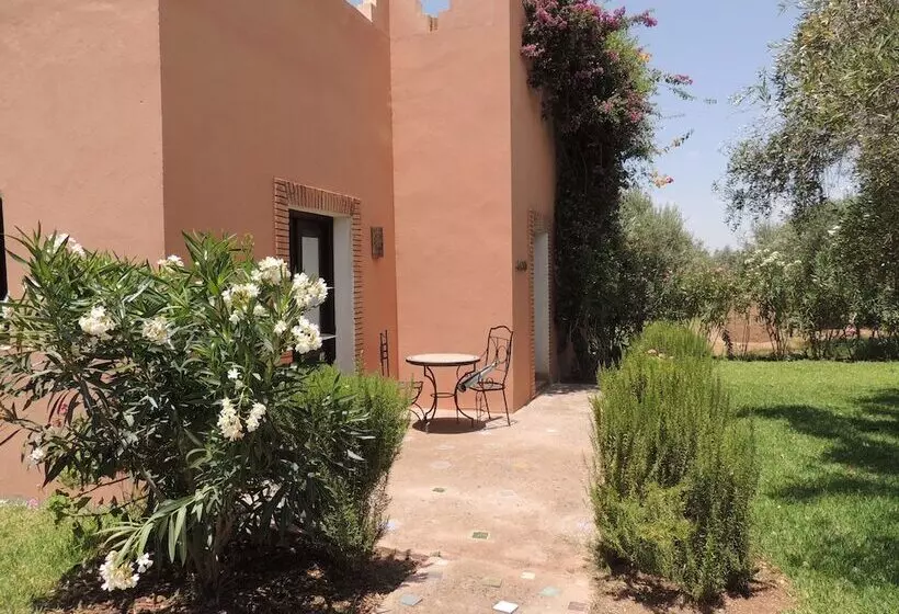 Hostelli Les Oliviers De L Atlas