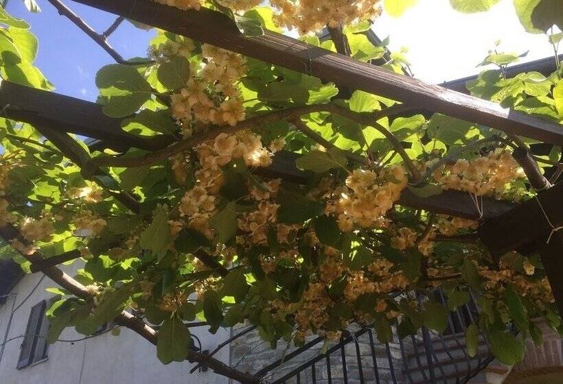 בית מלון כפרי Bioagriturismo Olistico Valtidone Verde