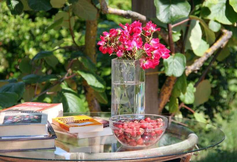 בית מלון כפרי Bioagriturismo Olistico Valtidone Verde