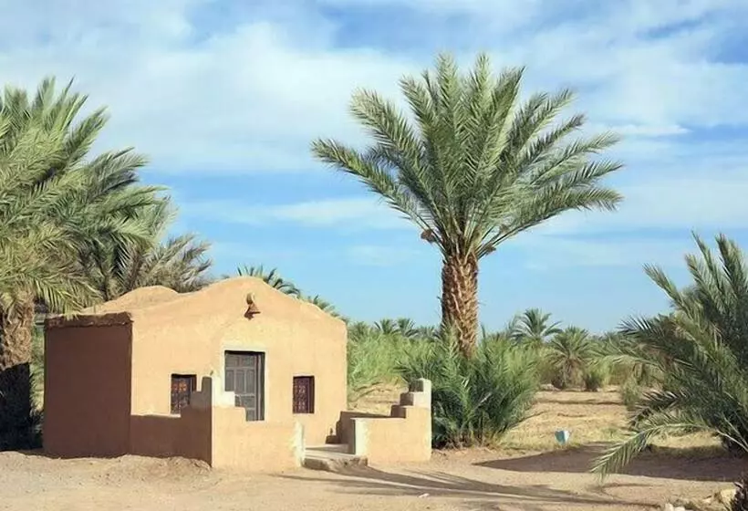 پانسیون Camping Les Palmeraies