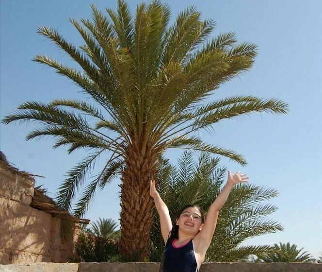 Пансион Camping Les Palmeraies