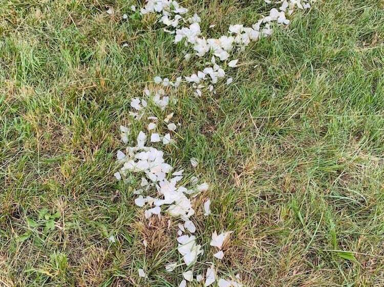 פנסיון Stoneybrooke Farm