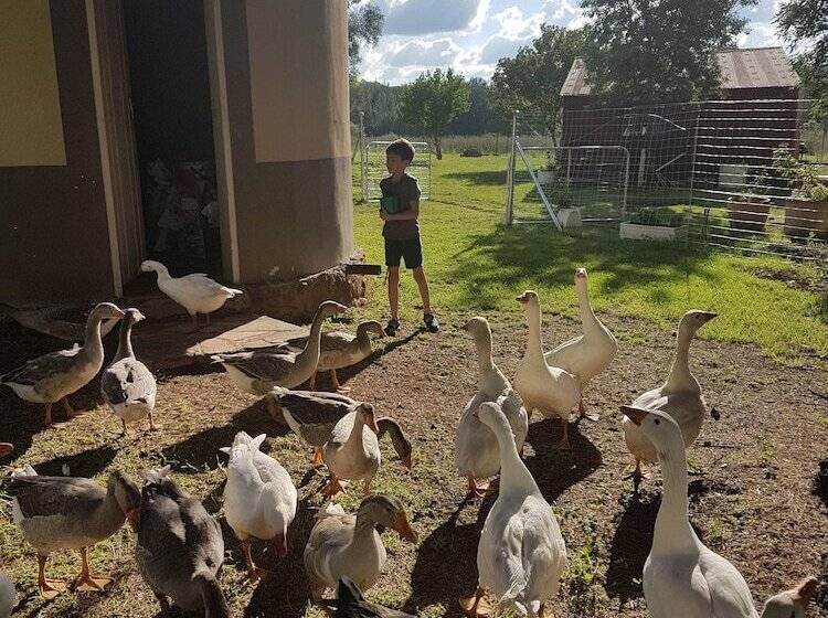 פנסיון Stoneybrooke Farm