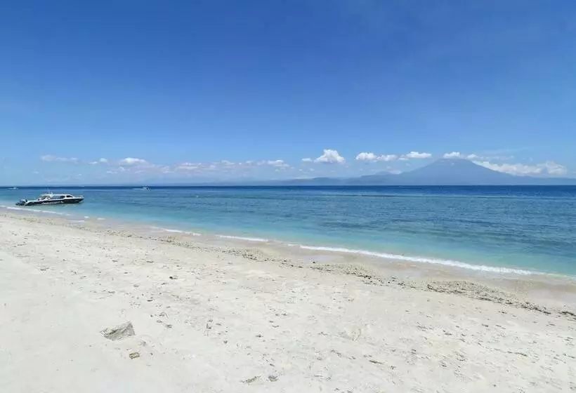 Road Beach Homestay