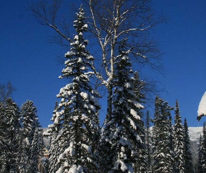 Apart Hotel Schastye