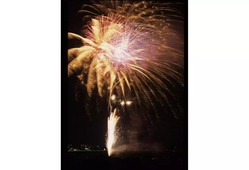 Central Hotel Toride