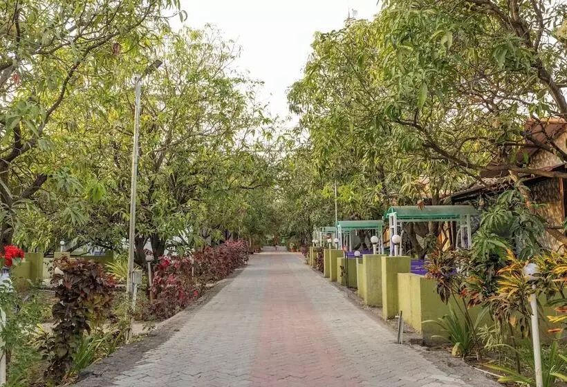 Daksh Resort And Amusement Park