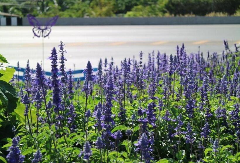 בית מלון כפרי Breeze Hill Resort