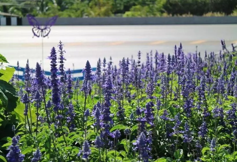 Hotelli Breeze Hill Resort