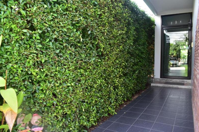 Hotel Isayarada Apartment