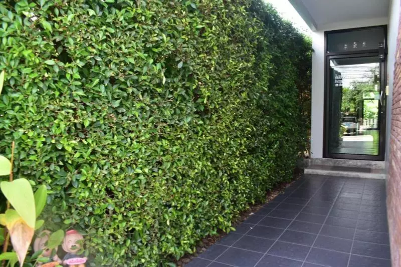 Hotelli Isayarada Apartment