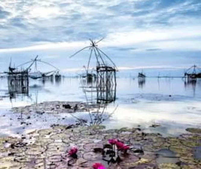 ホテル Rimlay Park Resort