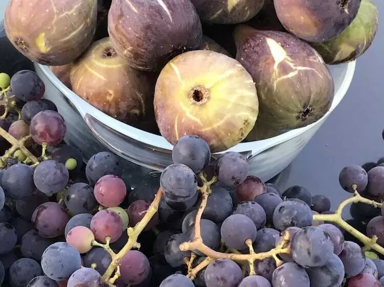 Hotelli Senturkler Suite