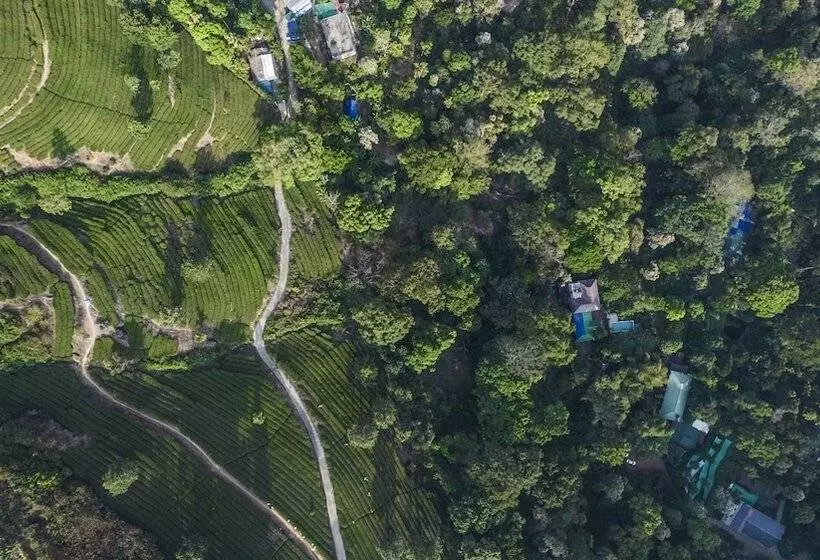 Hotelli Spice Jungle Resort