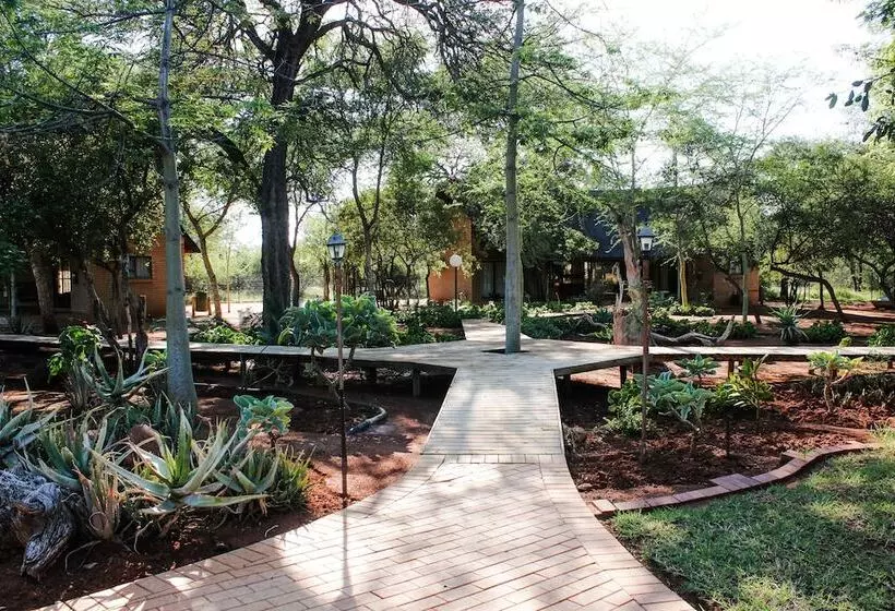 ホテル Zingela Nature Reserve   Leadwood Lodge