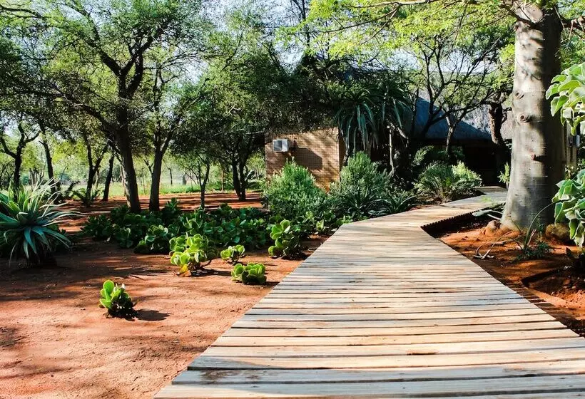 ホテル Zingela Nature Reserve   Leadwood Lodge